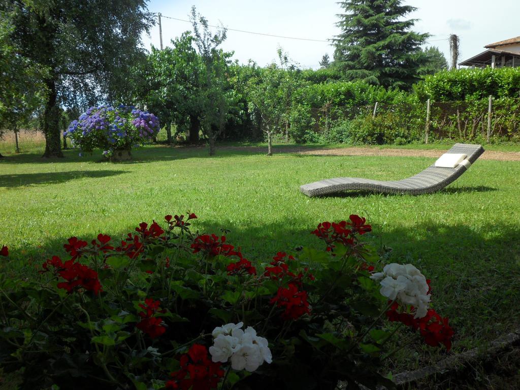 B&B Cuei Di Baret Tricesimo Εξωτερικό φωτογραφία