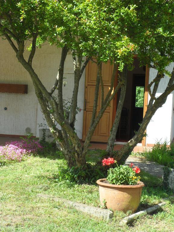 B&B Cuei Di Baret Tricesimo Εξωτερικό φωτογραφία