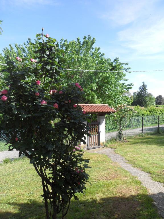 B&B Cuei Di Baret Tricesimo Εξωτερικό φωτογραφία