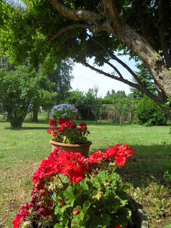 B&B Cuei Di Baret Tricesimo Εξωτερικό φωτογραφία